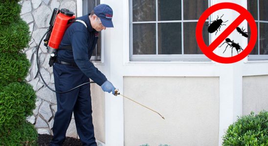 Bakırköy Gümüşkurt İlaçlama böcek ilaçlama ve haşere kontrolü — ilaclama-tr.com